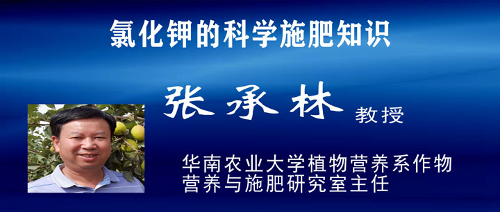 2020产业发展高峰论坛(六):氯化钾的科学施肥知识