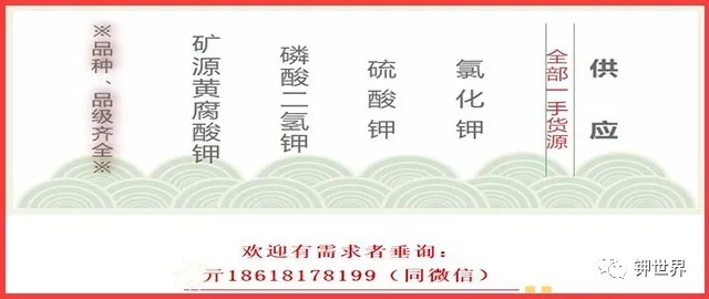 广告8.jpg