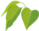 0.png 0.png
