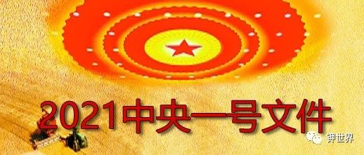  2021年中央一号文件——为新时期“三农”工作指明了方向