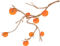 111.jpg 111.jpg