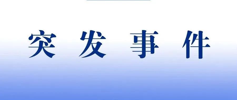  政府终于出手　出手高价即终