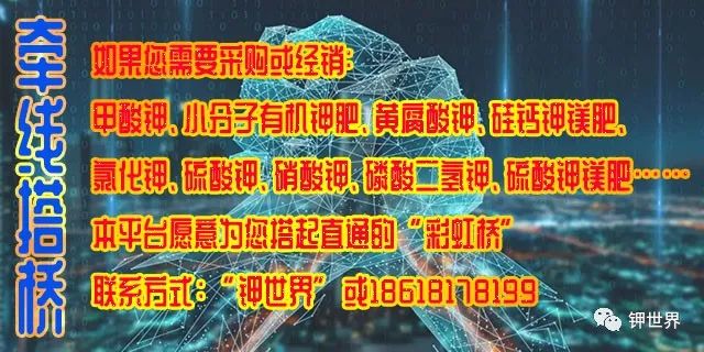 01.jpg 01.jpg
