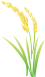 11.png 11.png