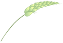SS).png SS).png
