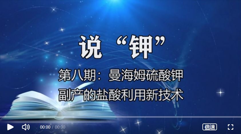 《说“钾”》第八期：以曼海姆等工业副产盐酸为原料的新技术