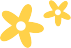 SS20.png SS20.png