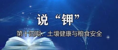 粮食安全◆土壤健康◆有机小分子