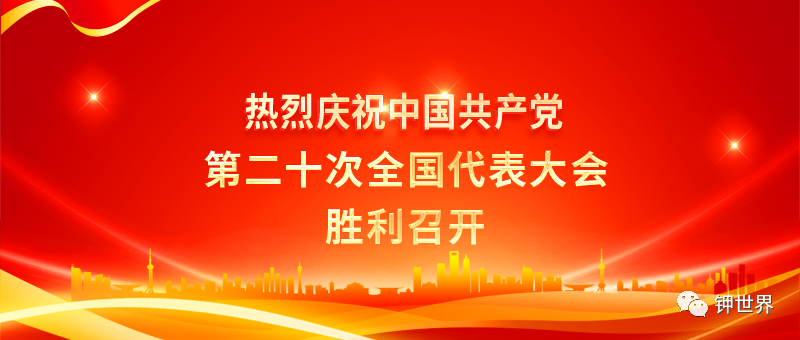 热烈庆祝中国共产党第二十次全国代表大会胜利召开