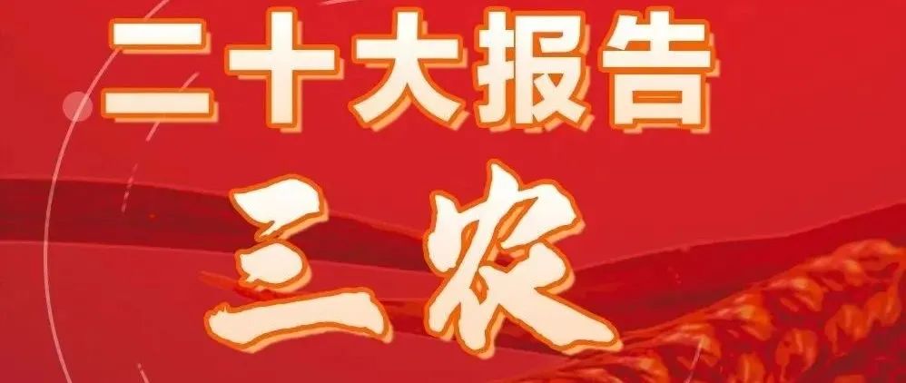 中国三农关键词与世界粮食安全之中国贡献