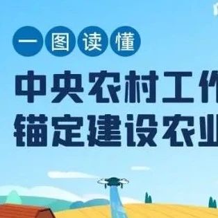 强国必先强农——中央农村工作会议摘要与金句