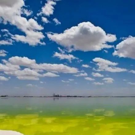 重磅发文！推进世界级盐湖产业基地建设，加快组建中国盐湖集团