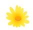 15.gif 15.gif