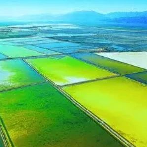 青海代表团建议：加大对青海建设世界级盐湖产业基地的支持力度
