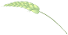 小麦左斜.png