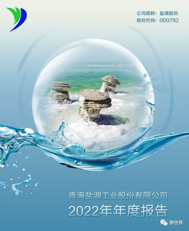 盐湖股份2022年净利润同比大增248%
