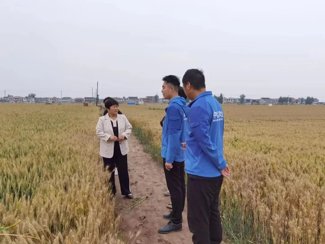 配图3.jpg 配图3.jpg