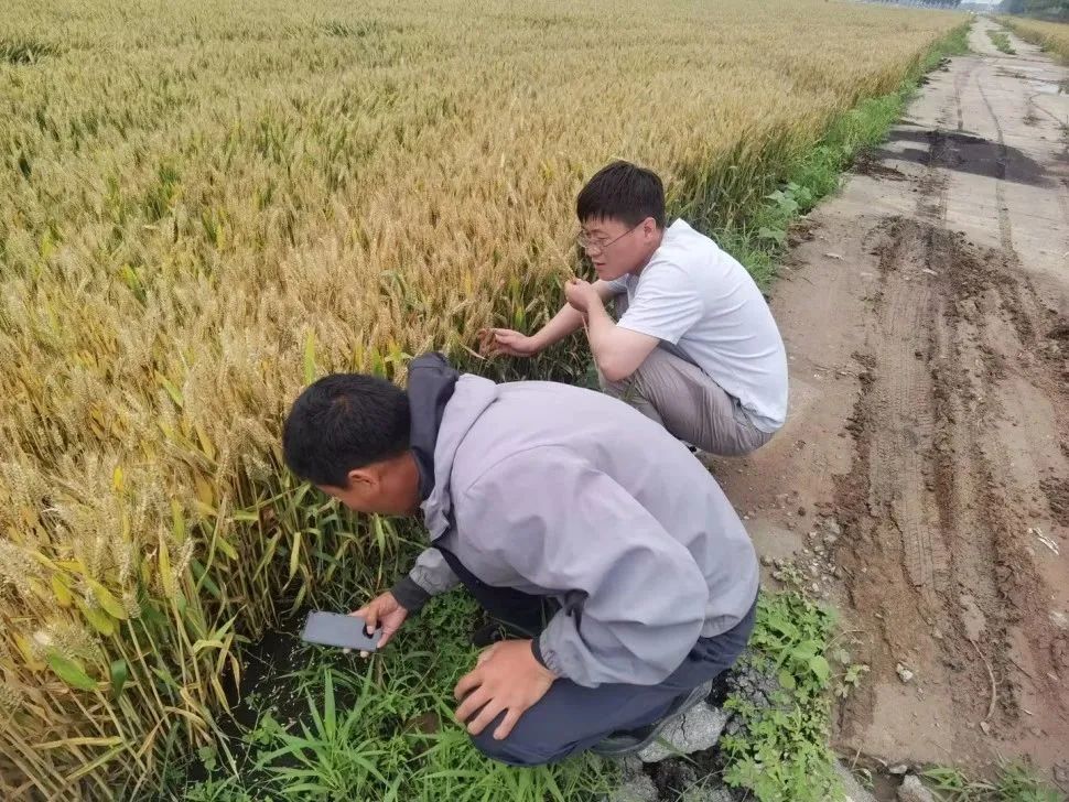 配图4.jpg 配图4.jpg