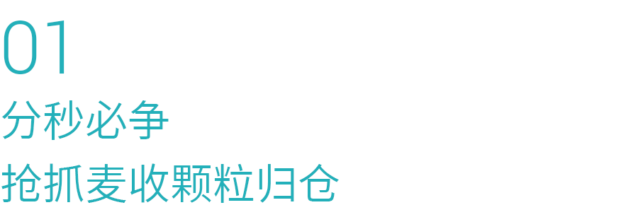 01.png 01.png
