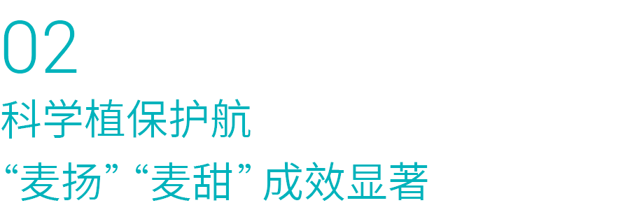 02.png 02.png