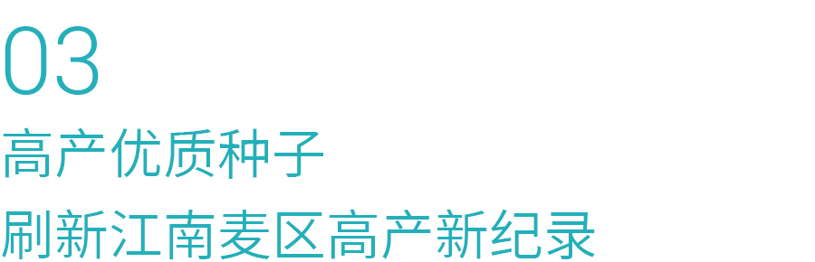 03.png 03.png