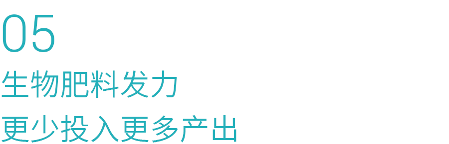 05.png 05.png