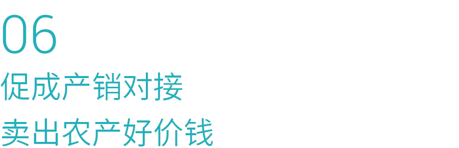 06.png 06.png
