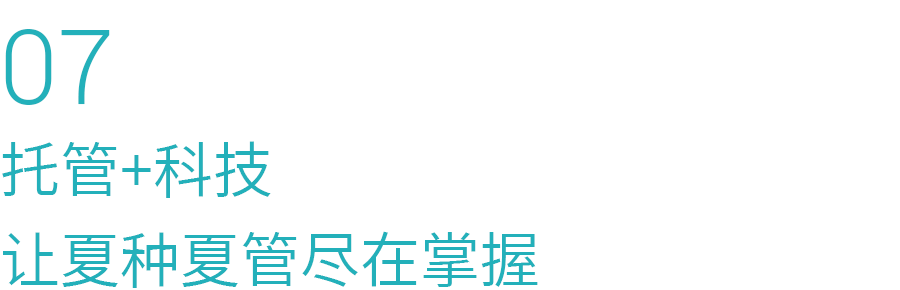 07.png 07.png