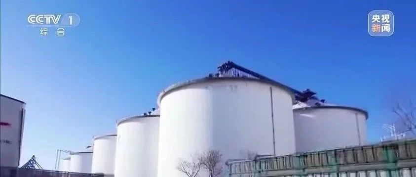 颗粒归仓！揭秘中国粮食的“科技豪宅”