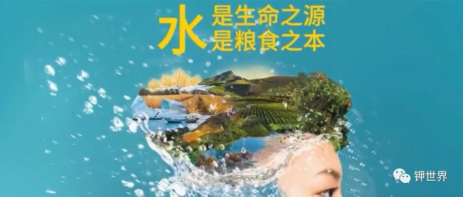 2023年世界粮食日宣传片正式发布