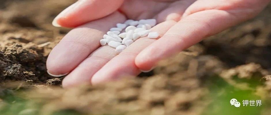 【数据直击】我国农业生产结构分析及今年上半年农业产业概况！