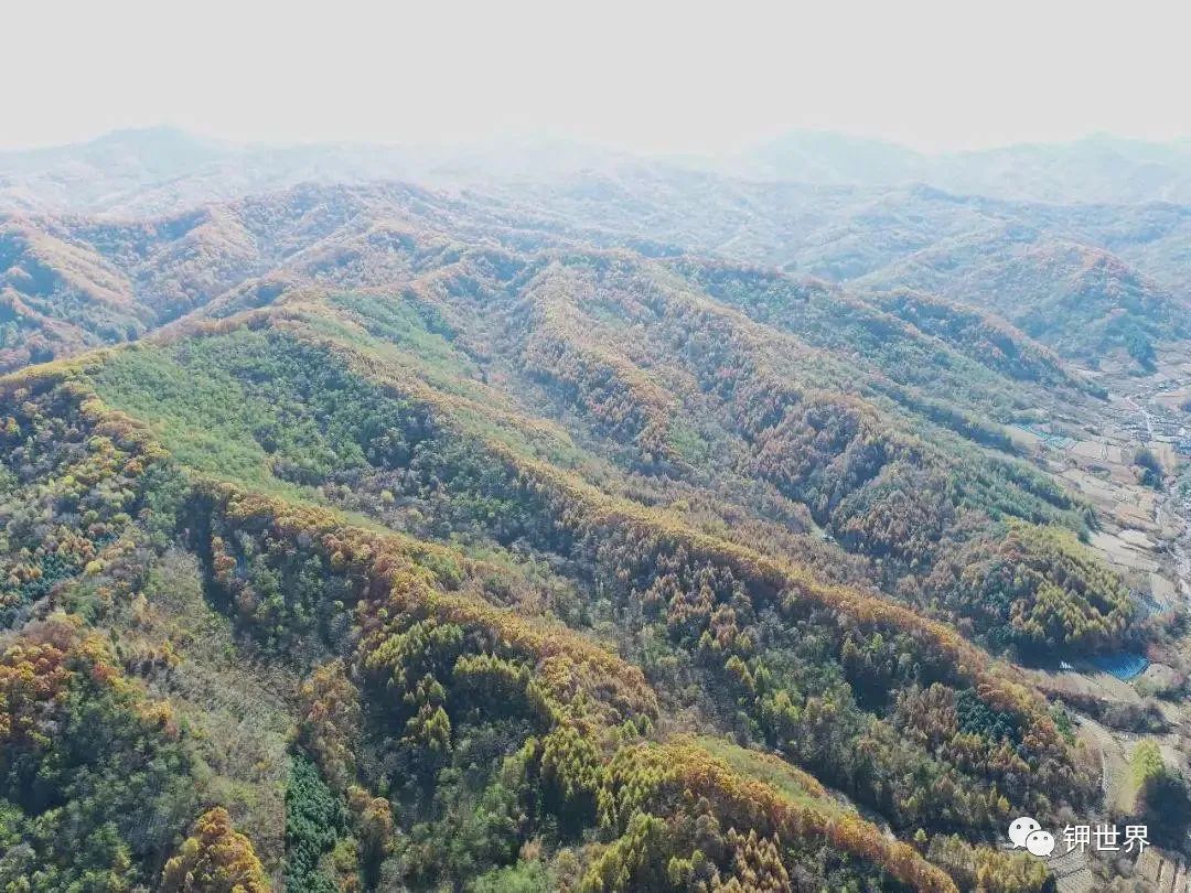 泼天喜讯：国产钾找矿获重大突破*2　坐标青海；吉林