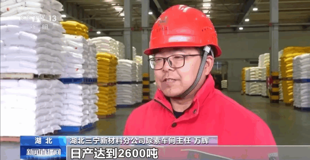 图片(1).png