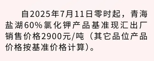 640.webp (2).png