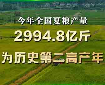 喜报！历史第二高产年！