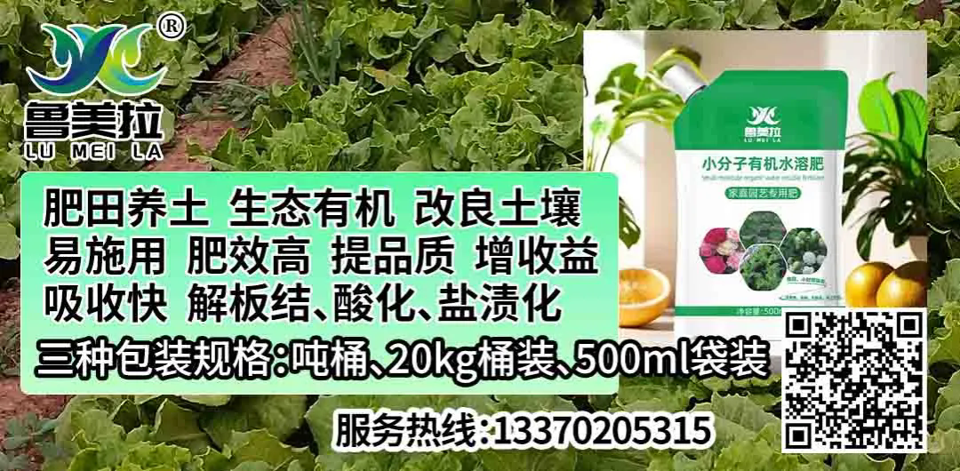 640.webp.png 640.webp.png